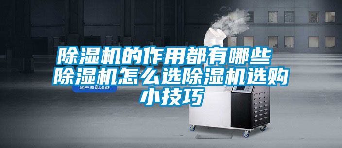 国产精品三级在线观看 除湿机的作用都有哪些 除湿机怎么选除湿机选购小技巧