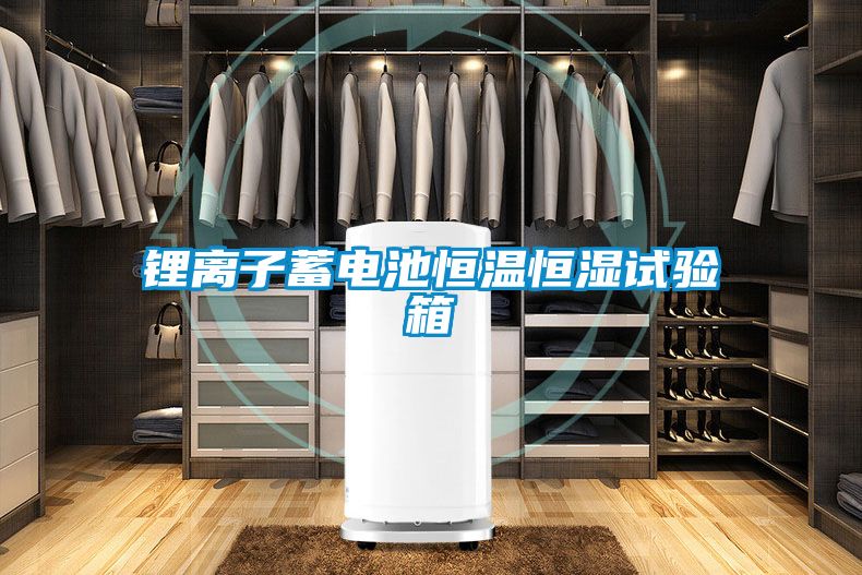 国产精品欧美激情视频 锂离子蓄电池恒温恒湿试验箱