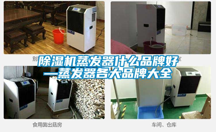 国产精品欧美激情视频 除湿机蒸发器什么品牌好—蒸发器各大品牌大全