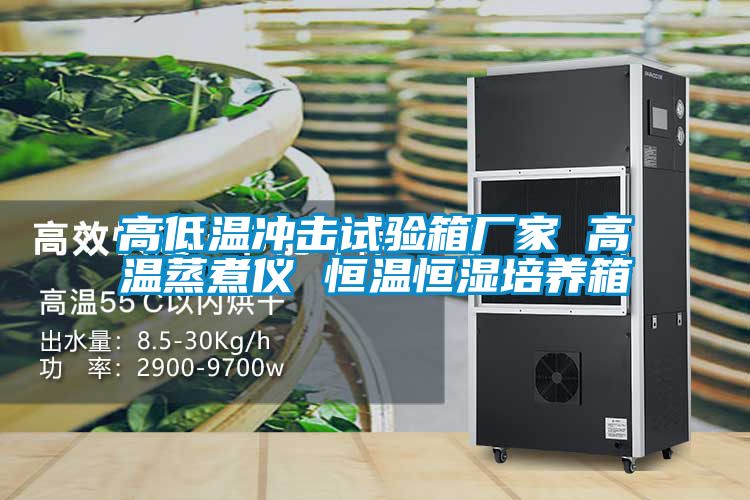国产精品探花在线观看 高低温冲击试验箱厂家 高温蒸煮仪 恒温恒湿培养箱