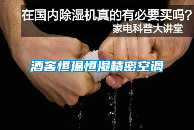 国产精品探花在线观看 酒窖恒温恒湿精密空调