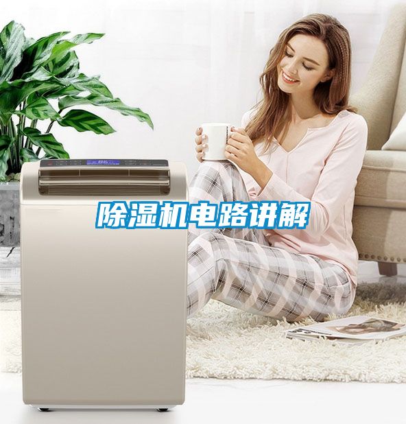 国产精品探花在线观看 除湿机电路讲解