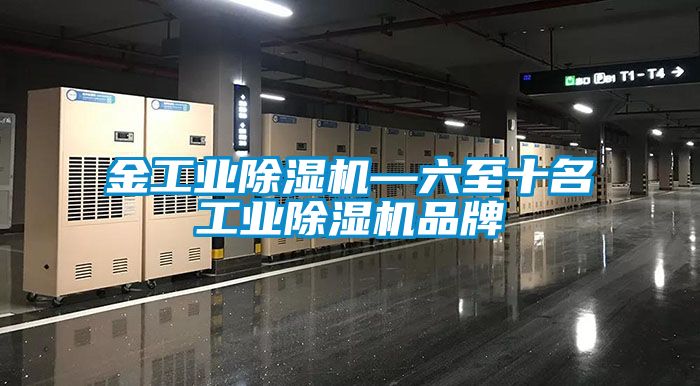 国产精品欧美激情视频 金工业除湿机—六至十名工业除湿机品牌