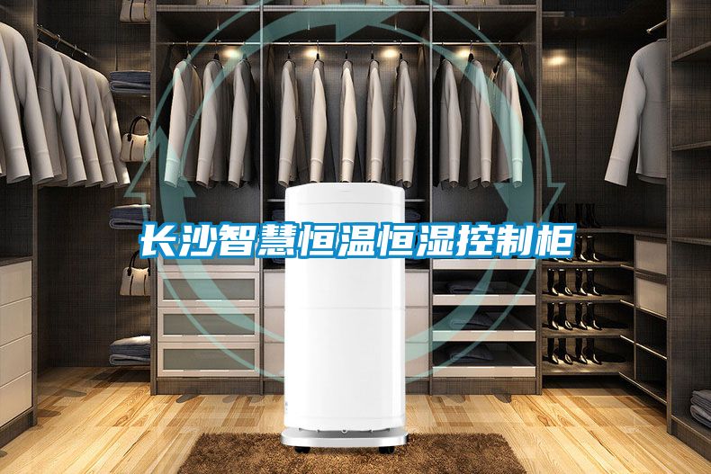 国产精品探花在线观看 长沙智慧恒温恒湿控制柜
