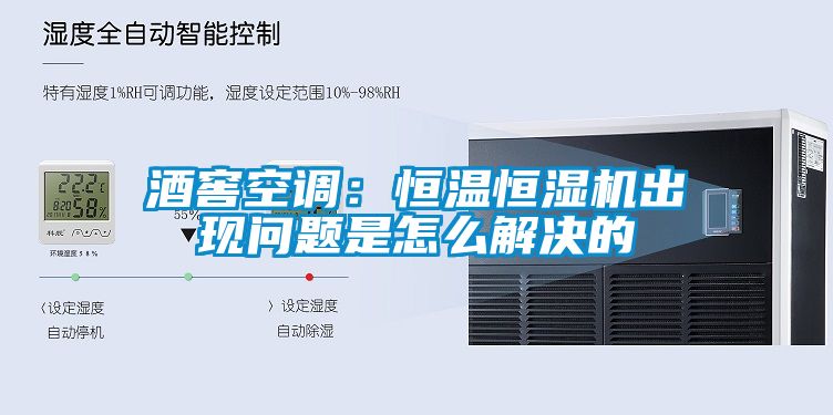 国产精品欧美激情视频 酒窖空调：恒温恒湿机出现问题是怎么解决的