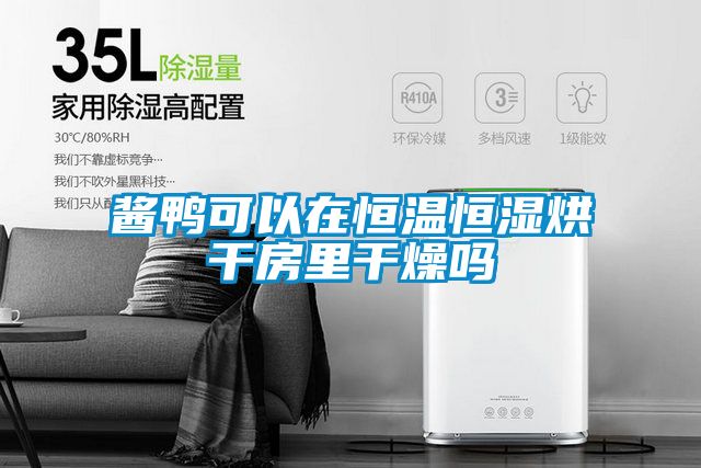 国产精品三级在线观看 酱鸭可以在恒温恒湿烘干房里干燥吗