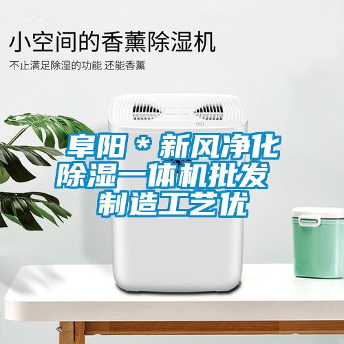 国产精品三级在线观看 阜阳＊新风净化除湿一体机批发 制造工艺优