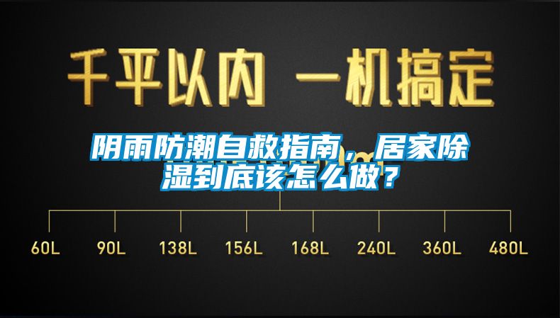 国产精品欧美激情视频 阴雨防潮自救指南，居家除湿到底该怎么做？