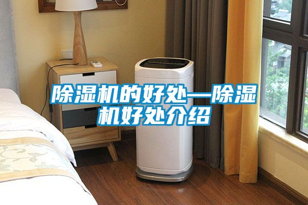 国产精品欧美激情视频 除湿机的好处—除湿机好处介绍