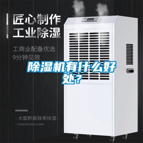 国产精品欧美激情视频 除湿机有什么好处？