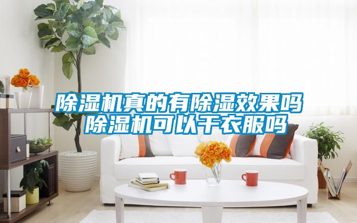 国产精品探花在线观看 除湿机真的有除湿效果吗 除湿机可以干衣服吗