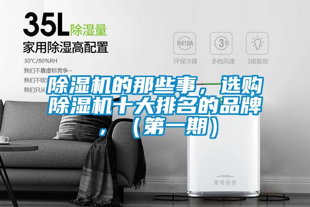 国产精品欧美激情视频 除湿机的那些事，选购除湿机十大排名的品牌，（第一期）