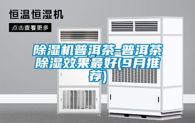 国产精品三级在线观看 除湿机普洱茶-普洱茶除湿效果最好(9月推荐)