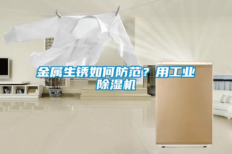 国产精品欧美激情视频 金属生锈如何防范？用工业除湿机