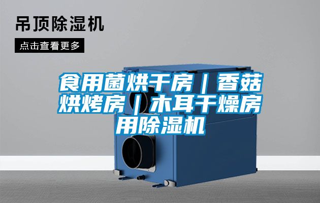 国产精品三级在线观看 食用菌烘干房｜香菇烘烤房｜木耳干燥房用除湿机