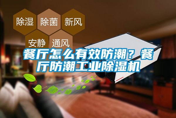 国产精品欧美激情视频 餐厅怎么有效防潮？餐厅防潮工业除湿机