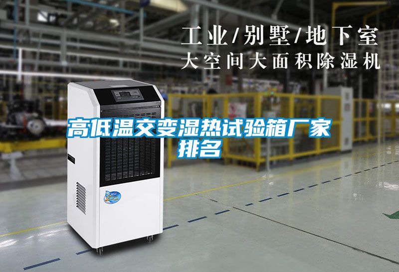 国产精品欧美激情视频 高低温交变湿热试验箱厂家排名