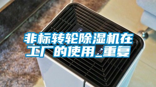 国产精品三级在线观看 非标转轮除湿机在工厂的使用_重复