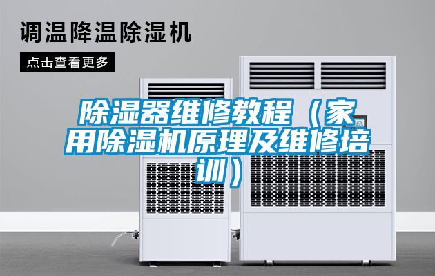国产精品三级在线观看 除湿器维修教程（家用除湿机原理及维修培训）