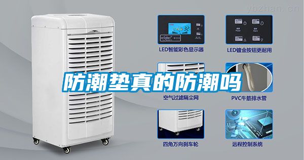国产精品三级在线观看 防潮垫真的防潮吗