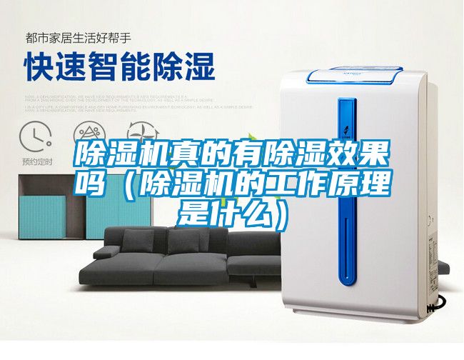 国产精品三级在线观看 除湿机真的有除湿效果吗（除湿机的工作原理是什么）