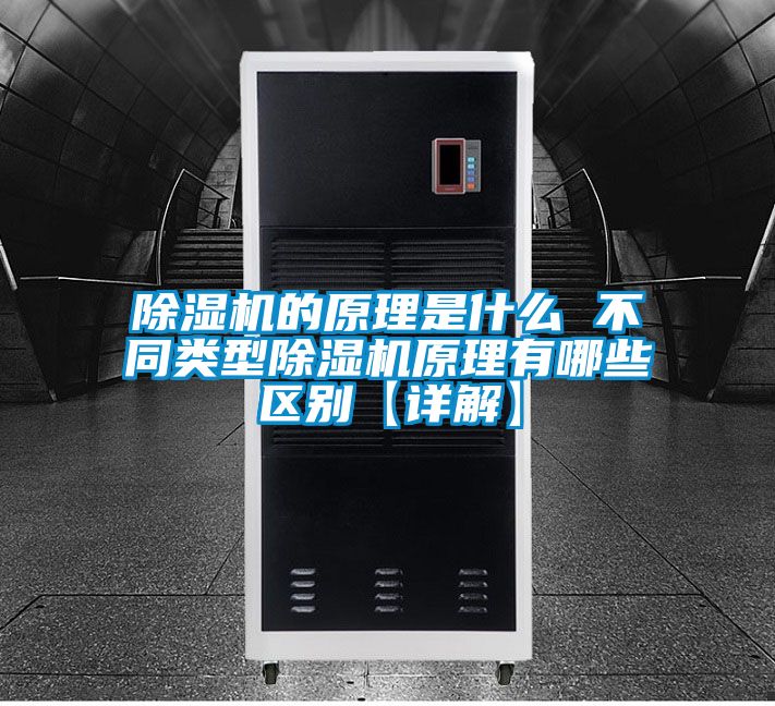 国产精品欧美激情视频 除湿机的原理是什么 不同类型除湿机原理有哪些区别【详解】