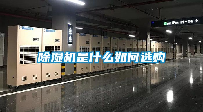 国产精品探花在线观看 除湿机是什么如何选购