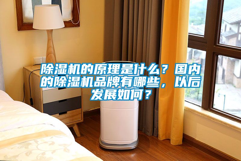 国产精品欧美激情视频 除湿机的原理是什么？国内的除湿机品牌有哪些，以后发展如何？