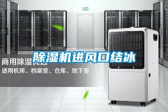 国产精品欧美激情视频 除湿机进风口结冰