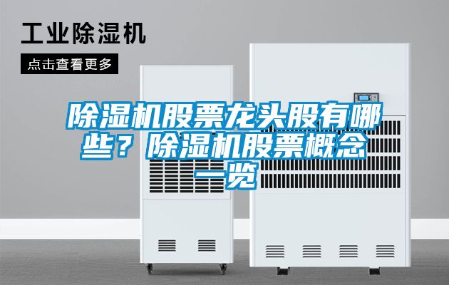 国产精品欧美激情视频 除湿机股票龙头股有哪些？除湿机股票概念一览