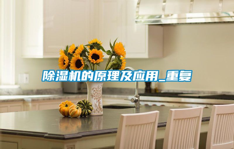 国产精品三级在线观看 除湿机的原理及应用_重复