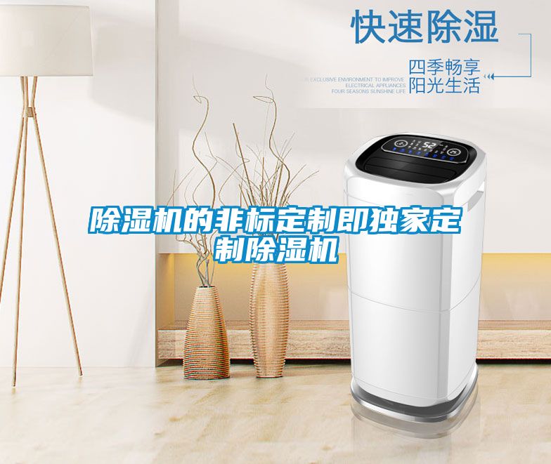 国产精品三级在线观看 除湿机的非标定制即独家定制除湿机