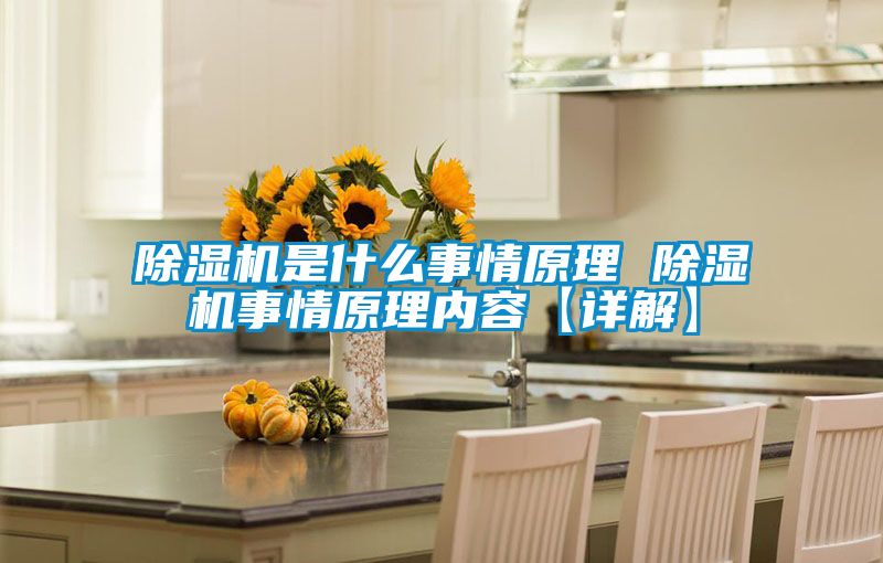 国产精品三级在线观看 除湿机是什么事情原理 除湿机事情原理内容【详解】
