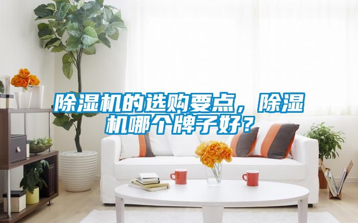 国产精品欧美激情视频 除湿机的选购要点，除湿机哪个牌子好？