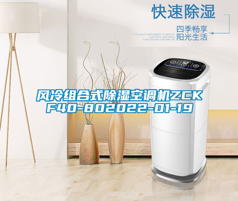 国产精品三级在线观看 风冷组合式除湿空调机ZCKF40-802022-01-19