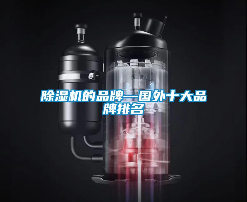 国产精品三级在线观看 除湿机的品牌—国外十大品牌排名