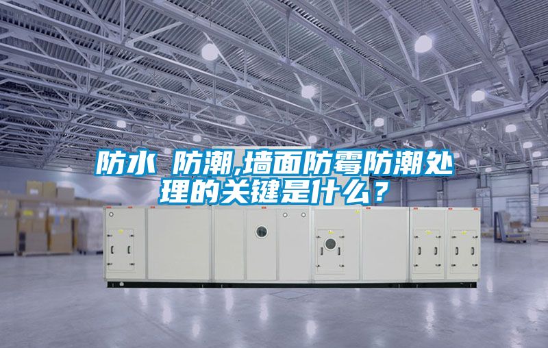 国产精品三级在线观看 防水≠防潮,墙面防霉防潮处理的关键是什么？