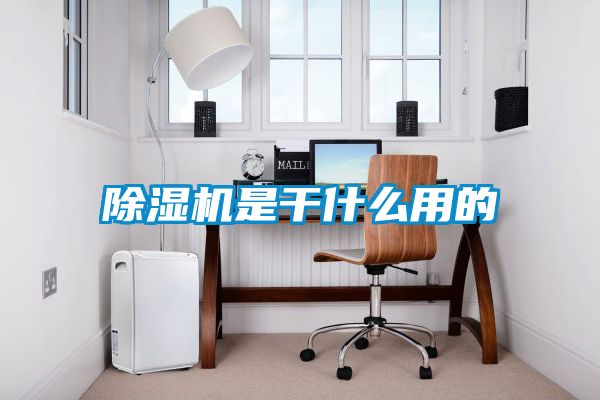 国产精品三级在线观看 除湿机是干什么用的