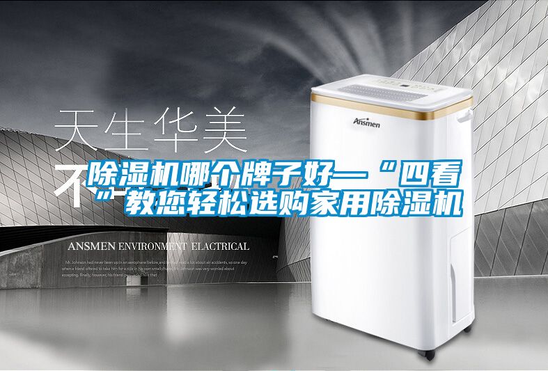 国产精品探花在线观看 除湿机哪个牌子好—“四看”教您轻松选购家用除湿机