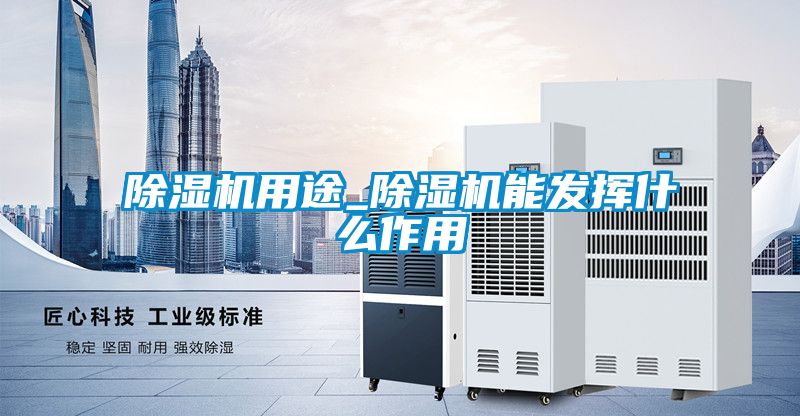 国产精品探花在线观看 除湿机用途_除湿机能发挥什么作用
