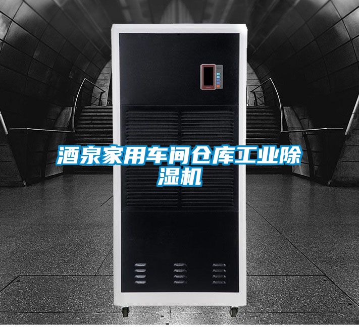国产精品欧美激情视频 酒泉家用车间仓库工业除湿机