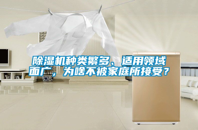 国产精品欧美激情视频 除湿机种类繁多、适用领域面广，为啥不被家庭所接受？