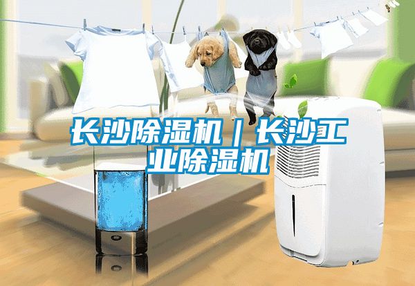 国产精品探花在线观看 长沙除湿机｜长沙工业除湿机