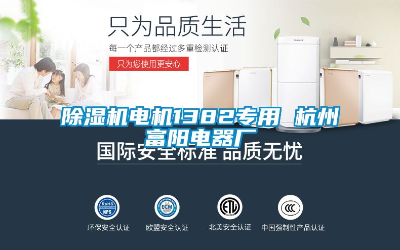国产精品三级在线观看 除湿机电机1382专用 杭州富阳电器厂