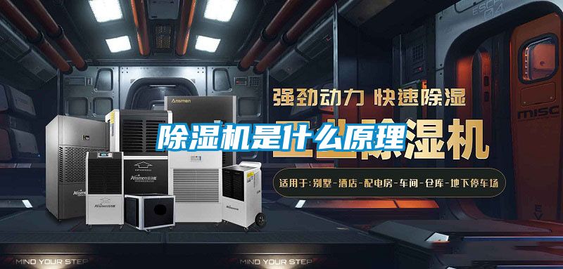 国产精品三级在线观看 除湿机是什么原理