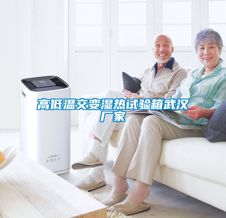 国产精品欧美激情视频 高低温交变湿热试验箱武汉厂家