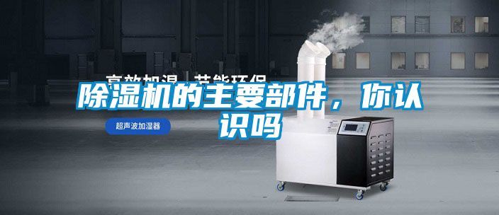 国产精品三级在线观看 除湿机的主要部件，你认识吗