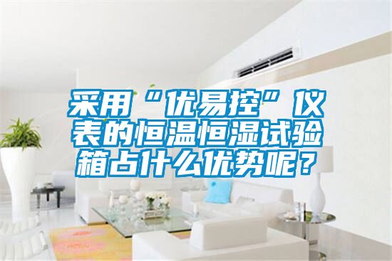 国产精品欧美激情视频 采用“优易控”仪表的恒温恒湿试验箱占什么优势呢？