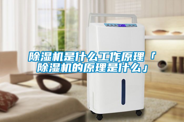 国产精品欧美激情视频 除湿机是什么工作原理「除湿机的原理是什么」