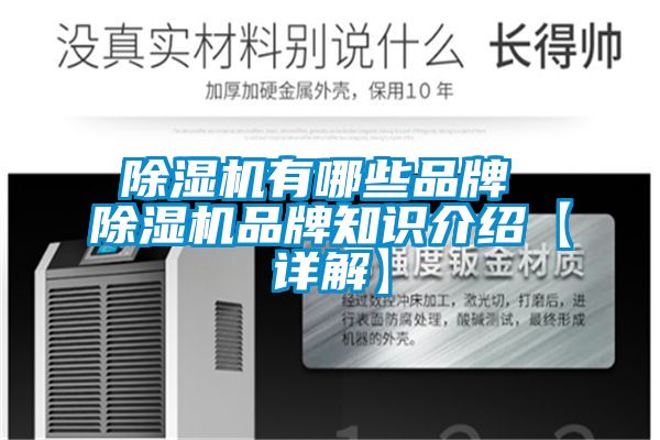 国产精品探花在线观看 除湿机有哪些品牌 除湿机品牌知识介绍【详解】